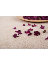 Velvet Ivory Rug - Thumbnail - 4