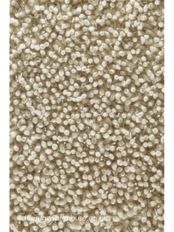 Maine Ivory Rug - 5