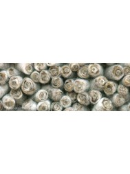 Halifax Beige Rug - Thumbnail - 3