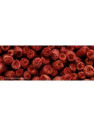 Halifax Red Rug - Thumbnail - 3