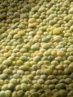 Haro City Melbourne Pebble Wool Rugs | The Rugs Warehouse