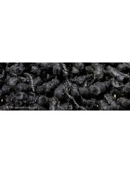 Miami Black Rug - Thumbnail - 3