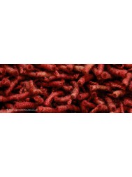 Miami Red Rug - Thumbnail - 3