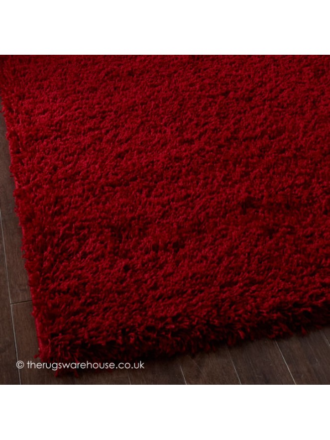 Vista Red Rug - 3