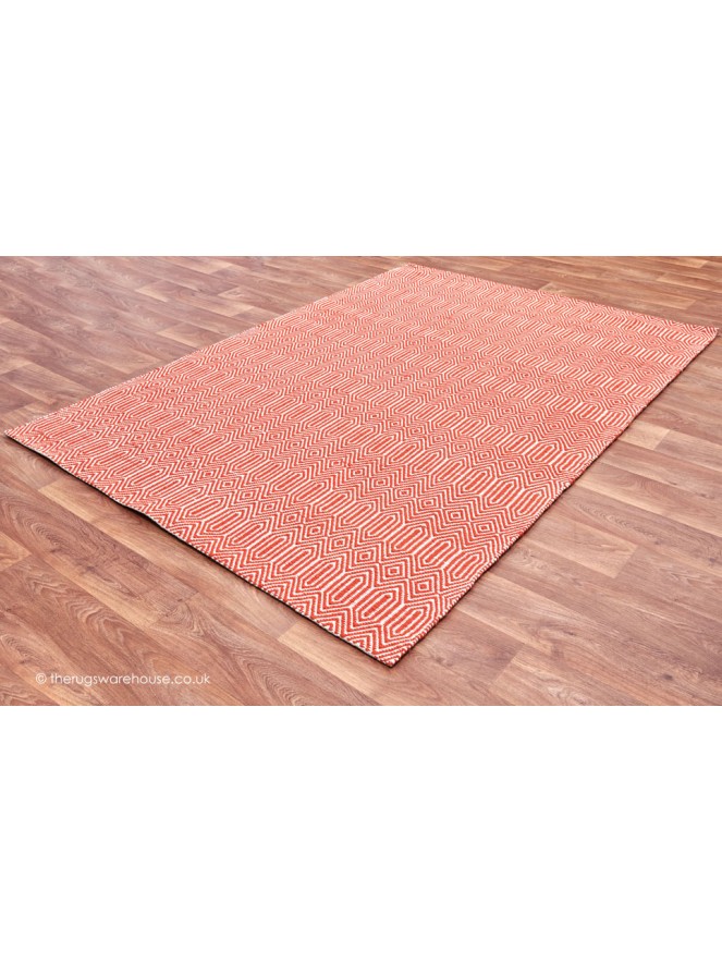 Sloan Orange Rug - 2