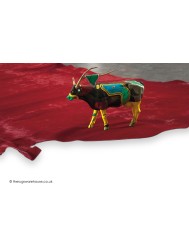 Colorata Rosso Rug - Thumbnail - 3