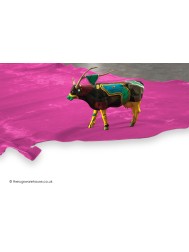 Colorata Fuchsia Rug - Thumbnail - 3