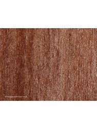 Silky Terra Rug - Thumbnail - 5