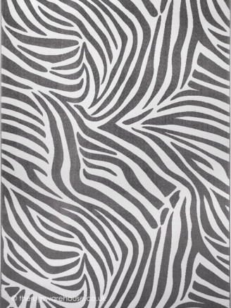 Jungle Zebra Grey