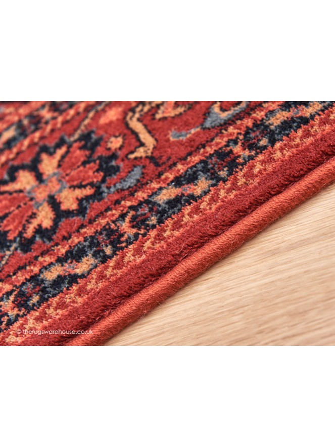 Asitana Rug - 4