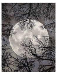 Twilight Chic Moon Rug - Thumbnail - 8