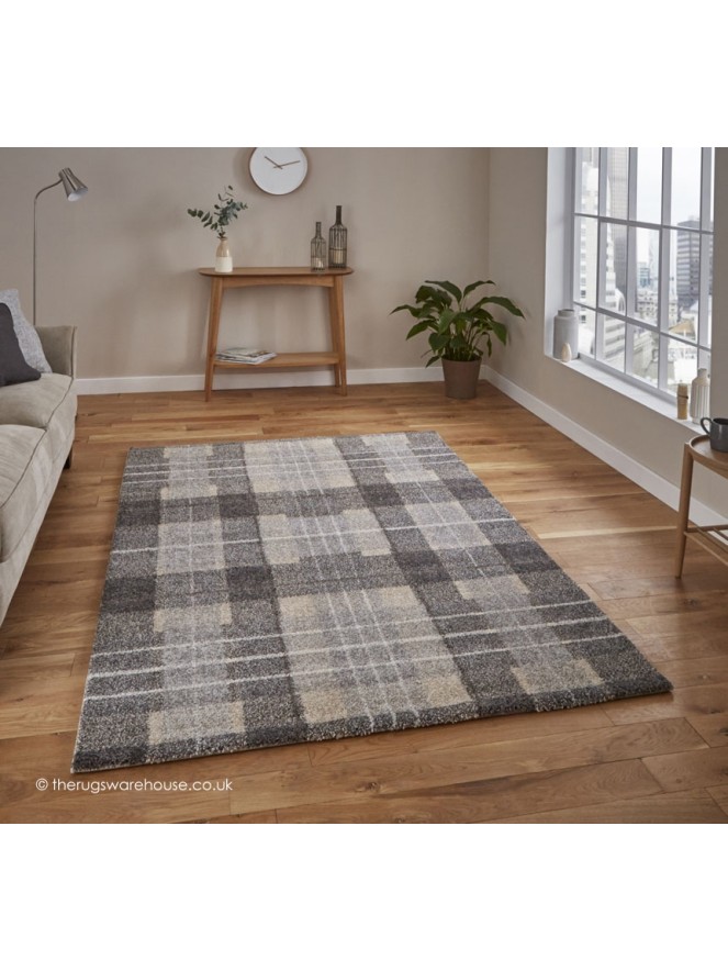 Telaxo Grey Rug - 2