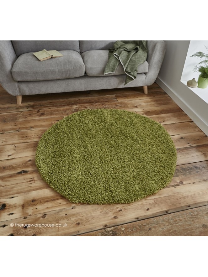 Vista Green Circle Rug - 2