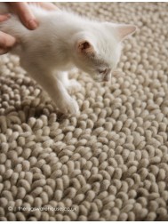 Union Oyster Rug - Thumbnail - 3