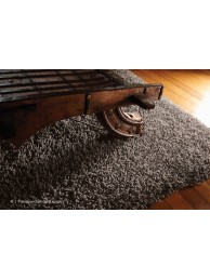 Imperial Fossil Rug - Thumbnail - 3