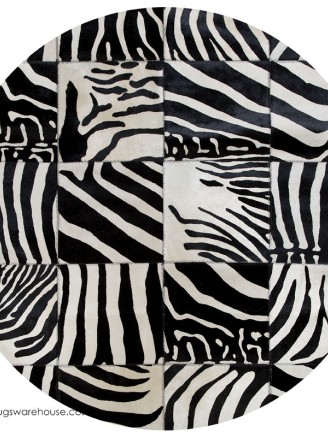 Zebra Squares Circle