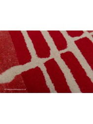 Tortoise Shell Red Rug - Thumbnail - 7