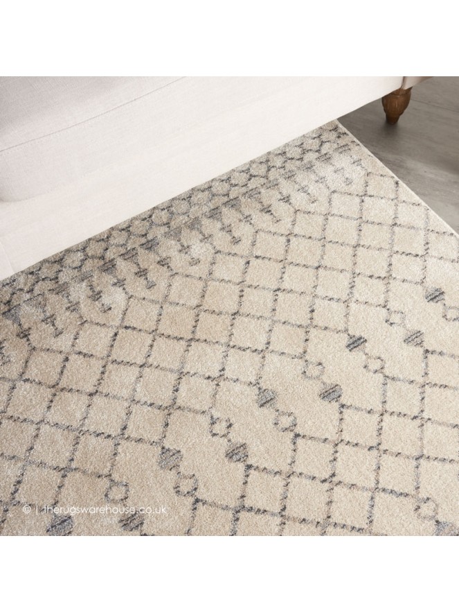 Robino Beige Grey Rug - 3