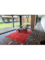 Cherry Rug - Thumbnail - 2