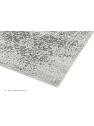 Antique Grey Rug  - Thumbnail - 5