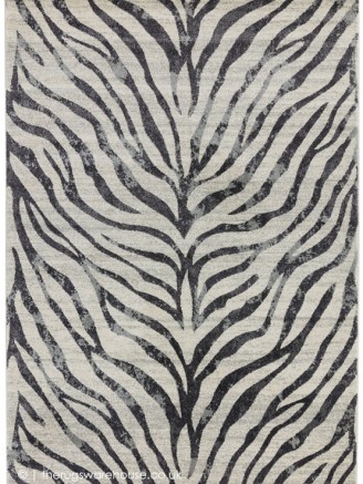 Zebra Grey