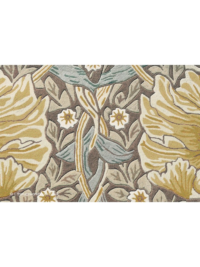 Pimpernel Bullrush Rug - 4