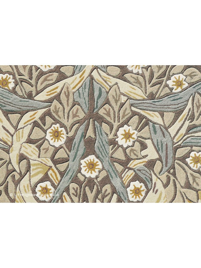 Pimpernel Bullrush Rug - 5