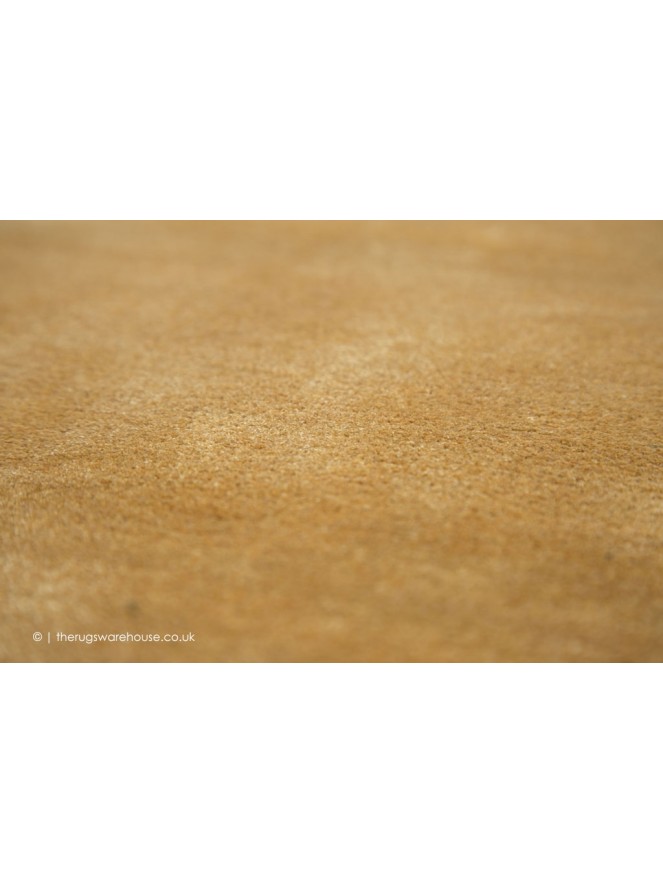 Annapurna Gold Rug - 6