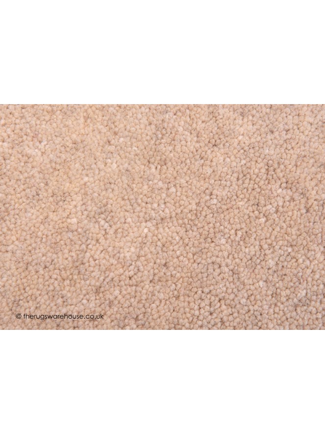 Home Comfort Ivory Rug - 5