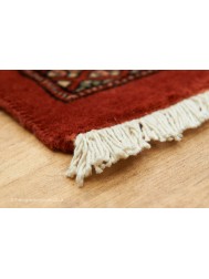 Bokhara Terra Rug - Thumbnail - 3