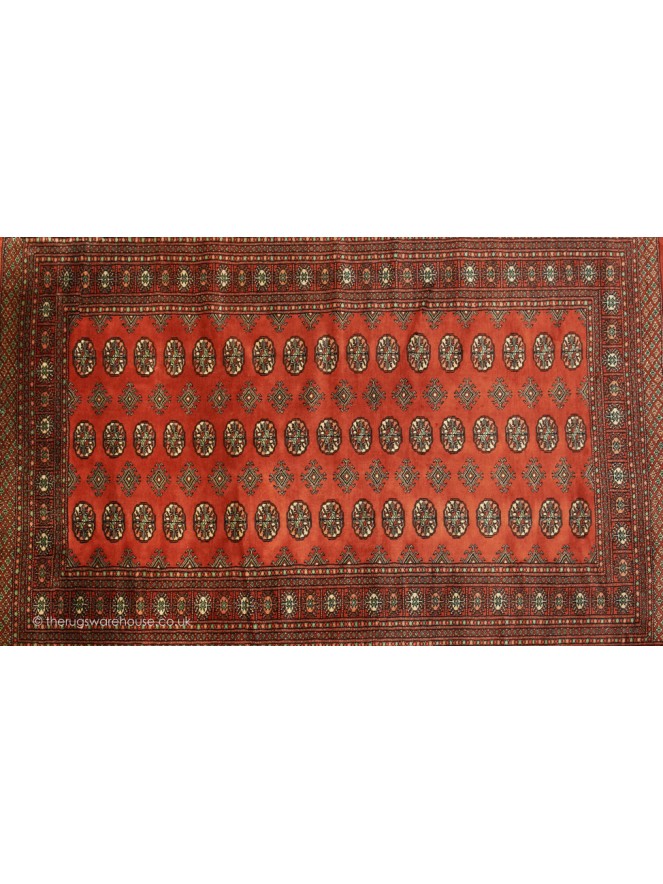 Bokhara Terra Rug - 4