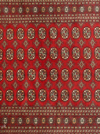Bokhara Red
