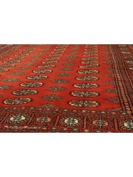 Bokhara Terra Rug - Thumbnail - 7