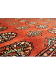 Bokhara Terra Rug - Thumbnail - 8