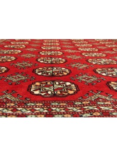 Bokhara Red bordered Hand-Knotted Wool Traditional Luxury Rug | The ...