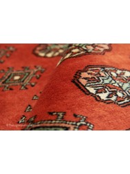 Bokhara Terra Rug - Thumbnail - 9