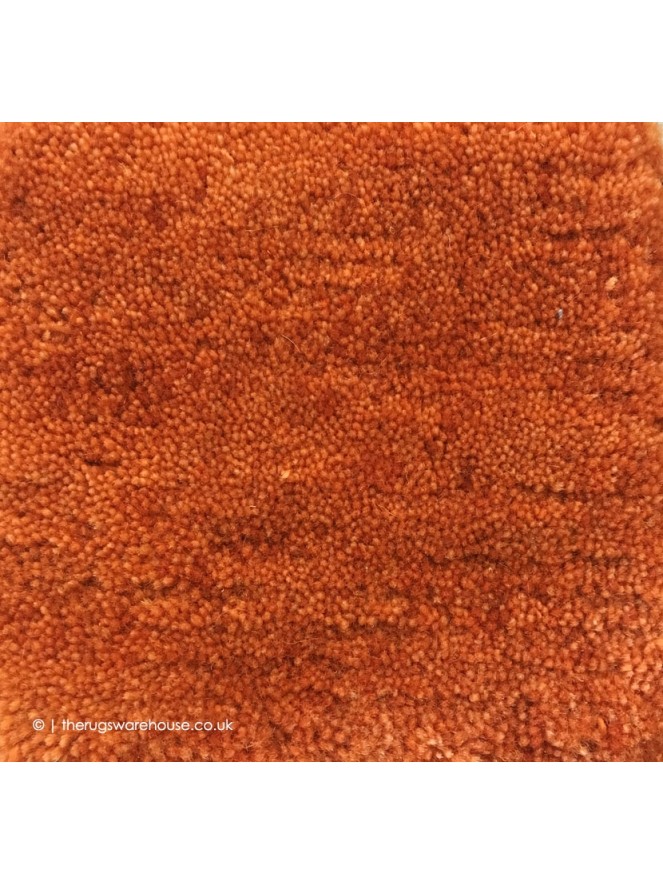 Bhutan Orange Rug - 5