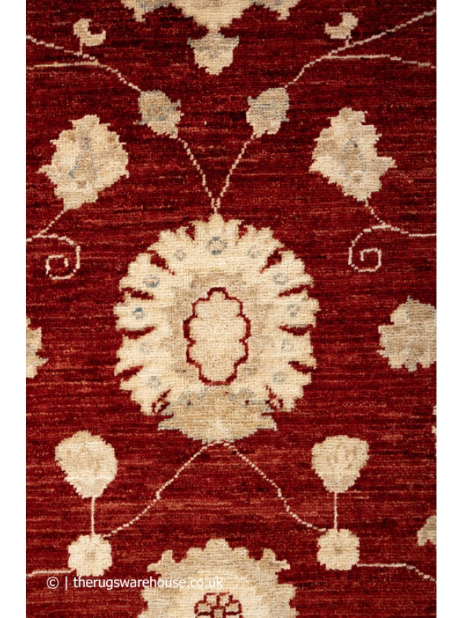 Ziegler Dez Rug - 4