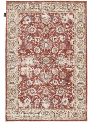 Haidar Terracotta Rug - Thumbnail - 7