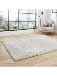 Florence 50034 Distressed Beige Silver Rug - Thumbnail - 3