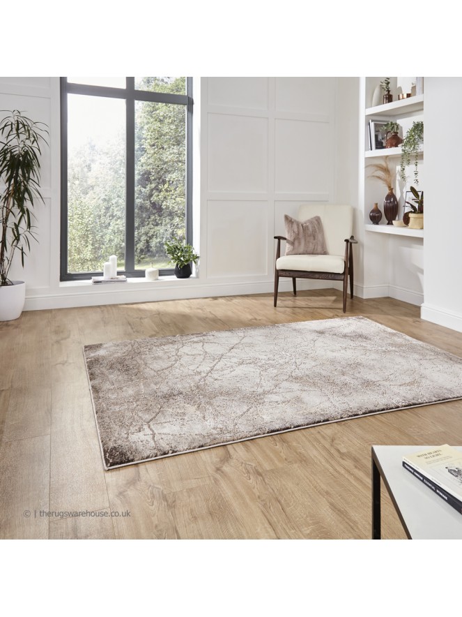 Florence 50035 Distressed Beige Rug - 3