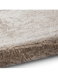 Florence 50035 Distressed Beige Rug - Thumbnail - 9