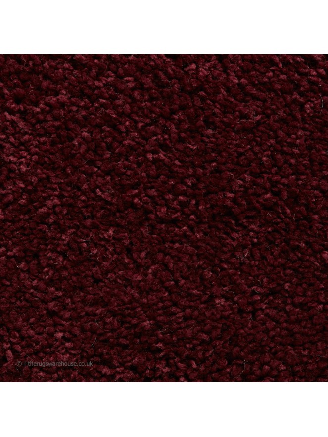 Sierra Ruby Rug - 5