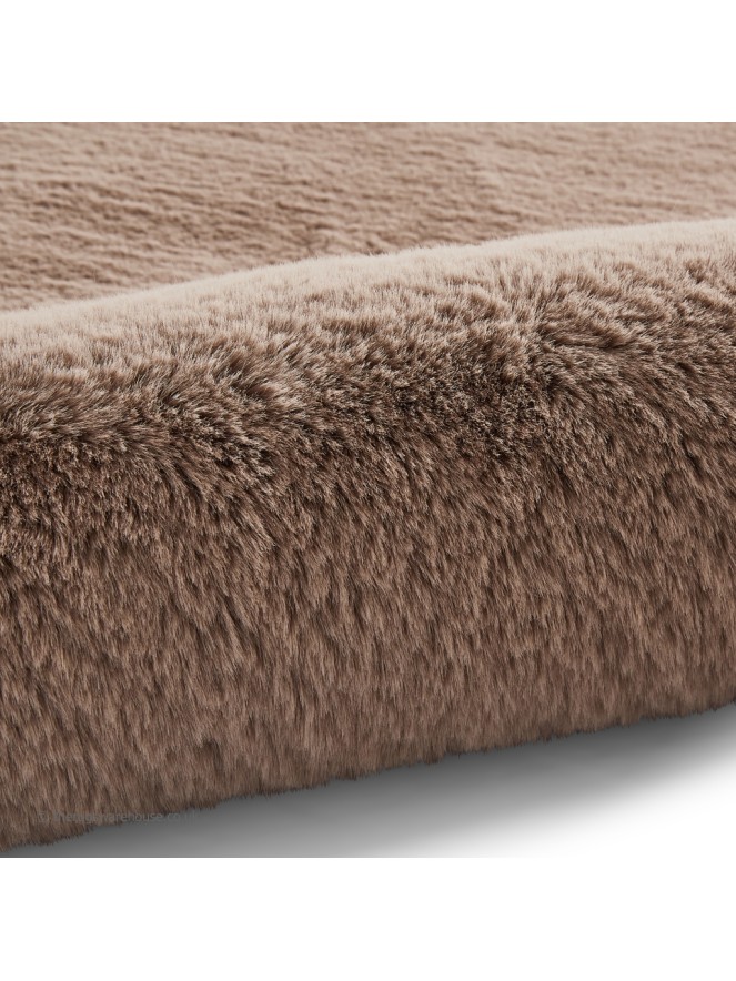 Super Teddy Mink Rug - 9