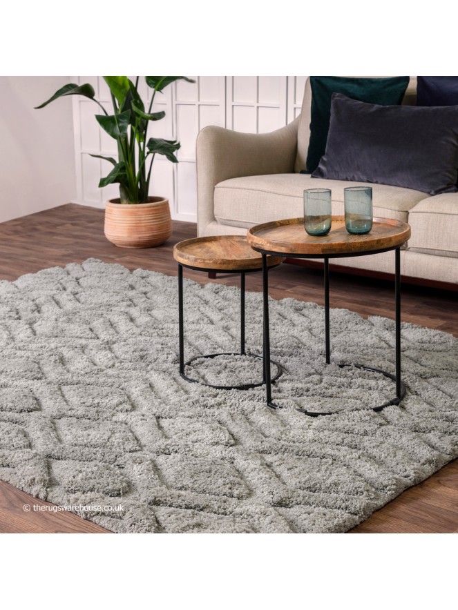 Harrison Silver Rug - 2