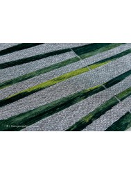 Dwarf Green Rug - Thumbnail - 7