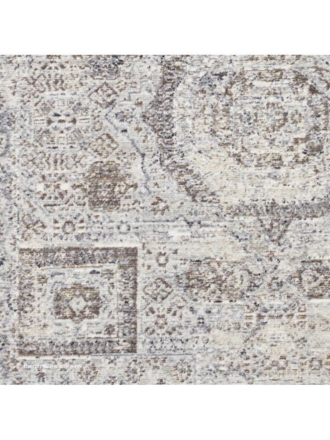 Asterya Rug - 6