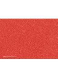 Home Comfort Coral Rug - Thumbnail - 5