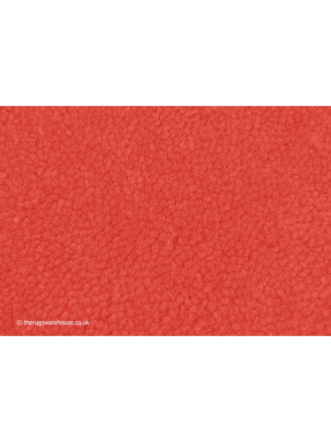 Home Comfort Coral Rug - 5