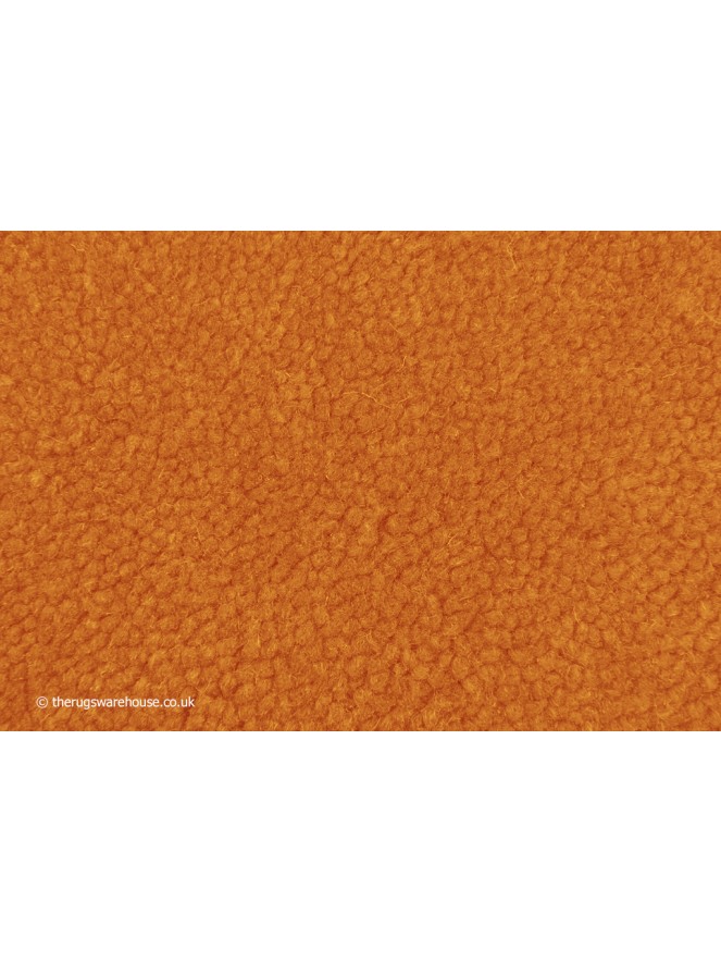 Home Comfort Pumpkin Rug - 5